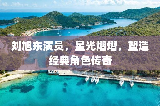 刘旭东演员，星光熠熠，塑造经典角色传奇