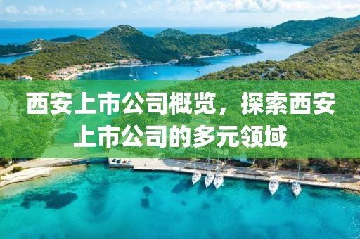 西安上市公司概览，探索西安上市公司的多元领域