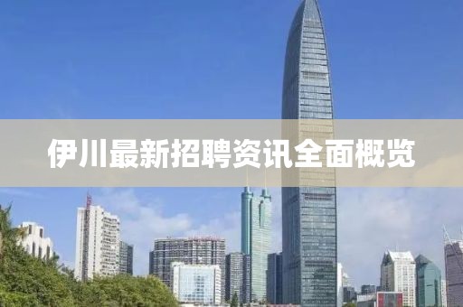 伊川最新招聘资讯全面概览
