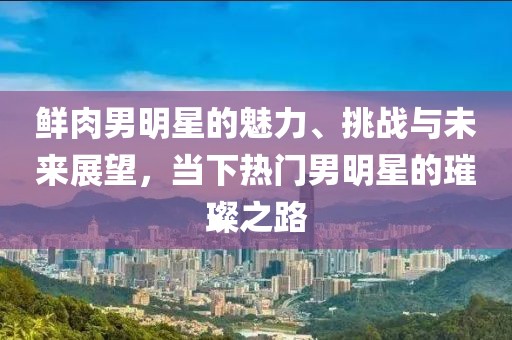 鲜肉男明星的魅力、挑战与未来展望，当下热门男明星的璀璨之路