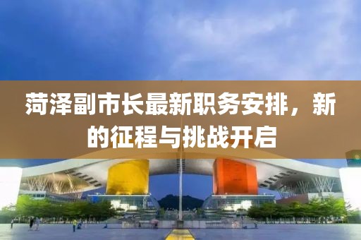 菏泽副市长最新职务安排，新的征程与挑战开启