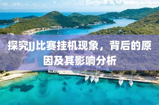探究JJ比赛挂机现象，背后的原因及其影响分析
