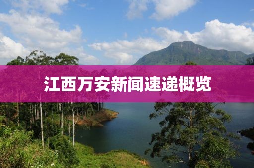 江西万安新闻速递概览