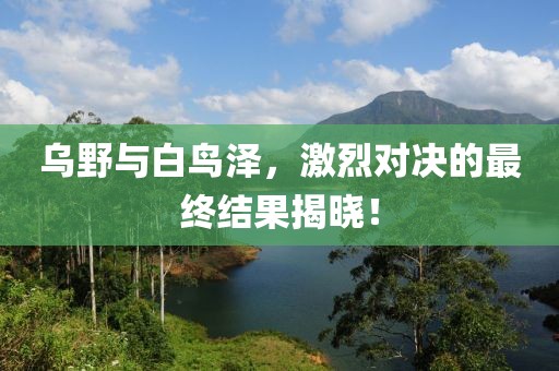 乌野与白鸟泽，激烈对决的最终结果揭晓！