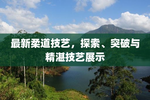最新柔道技艺，探索、突破与精湛技艺展示