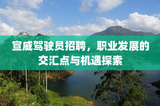 宣威驾驶员招聘，职业发展的交汇点与机遇探索