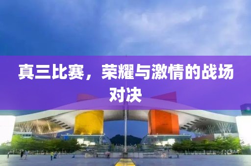 真三比赛，荣耀与激情的战场对决