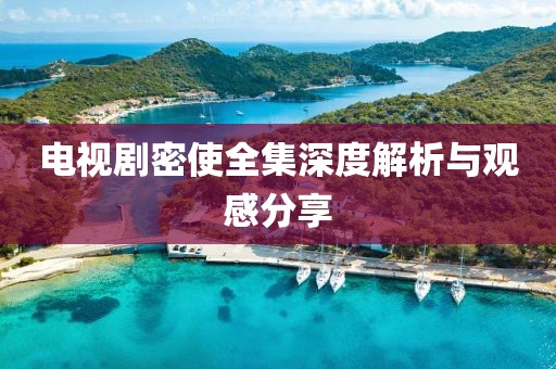 电视剧密使全集深度解析与观感分享
