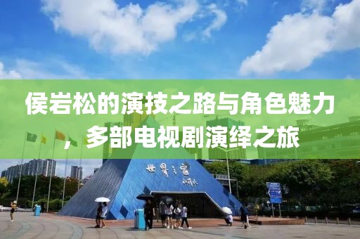 侯岩松的演技之路与角色魅力，多部电视剧演绎之旅