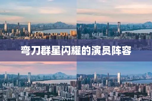 弯刀群星闪耀的演员阵容