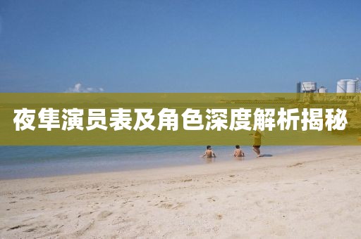 夜隼演员表及角色深度解析揭秘