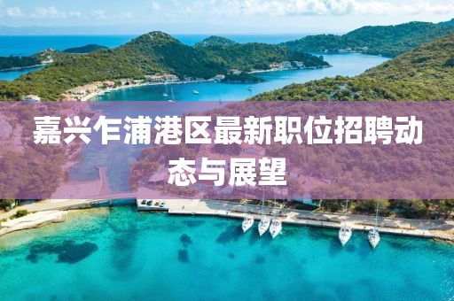 嘉兴乍浦港区最新职位招聘动态与展望