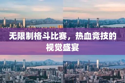 无限制格斗比赛，热血竞技的视觉盛宴