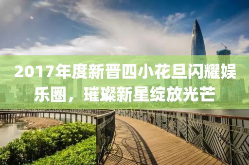 2017年度新晋四小花旦闪耀娱乐圈，璀璨新星绽放光芒