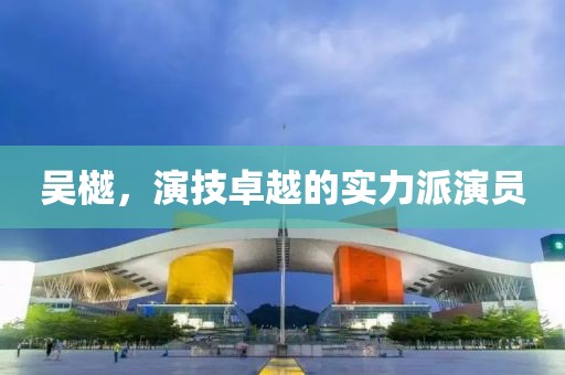 吴樾，演技卓越的实力派演员