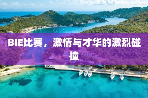 BIE比赛，激情与才华的激烈碰撞