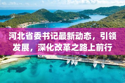 河北省委书记最新动态，引领发展，深化改革之路上前行