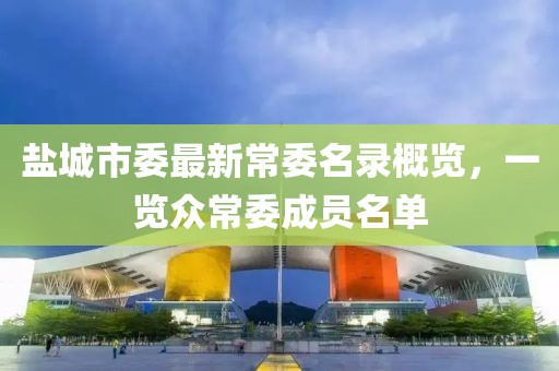 盐城市委最新常委名录概览，一览众常委成员名单