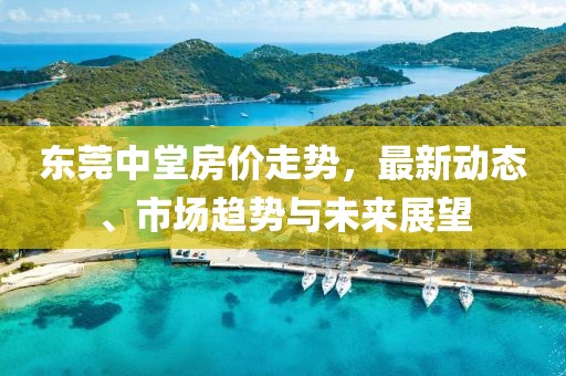 东莞中堂房价走势，最新动态、市场趋势与未来展望