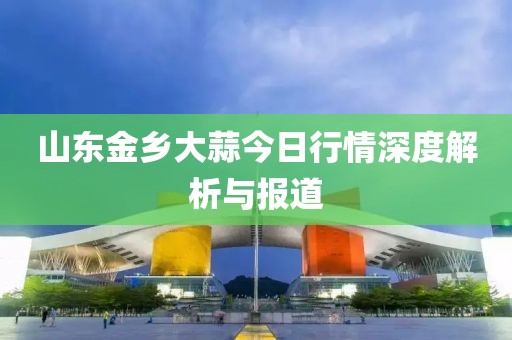 山东金乡大蒜今日行情深度解析与报道