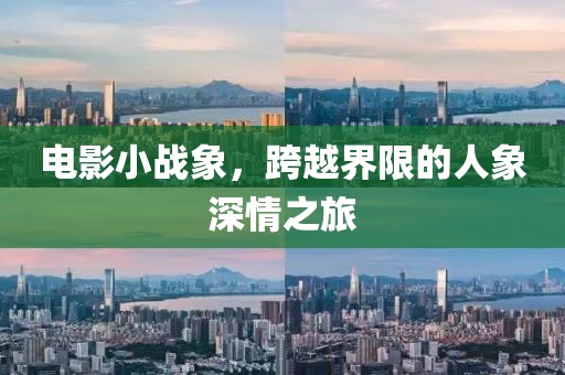 电影小战象，跨越界限的人象深情之旅