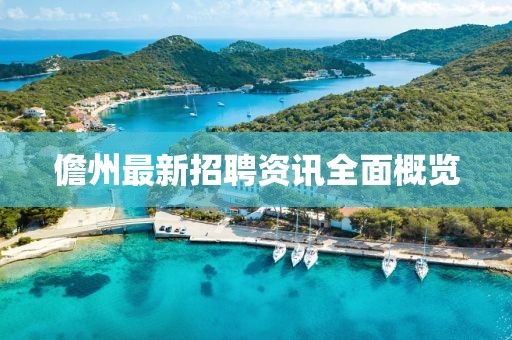 儋州最新招聘资讯全面概览