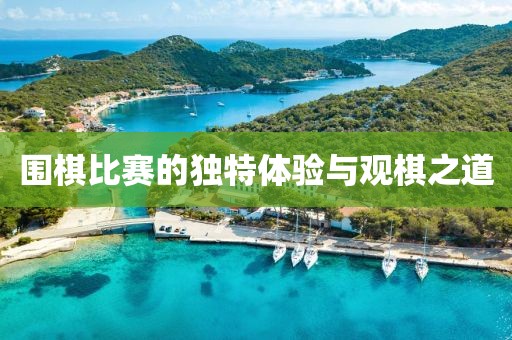 围棋比赛的独特体验与观棋之道