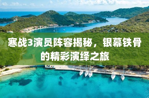 寒战3演员阵容揭秘，银幕铁骨的精彩演绎之旅