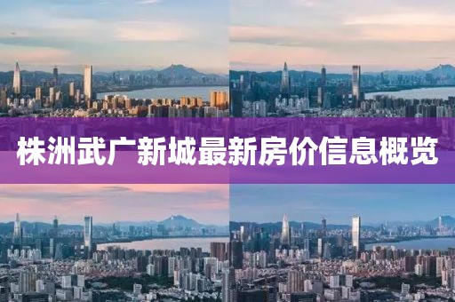 株洲武广新城最新房价信息概览
