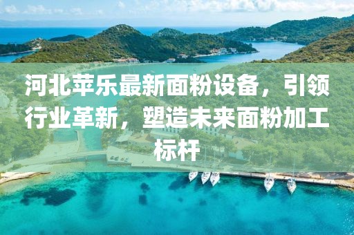 河北苹乐最新面粉设备，引领行业革新，塑造未来面粉加工标杆