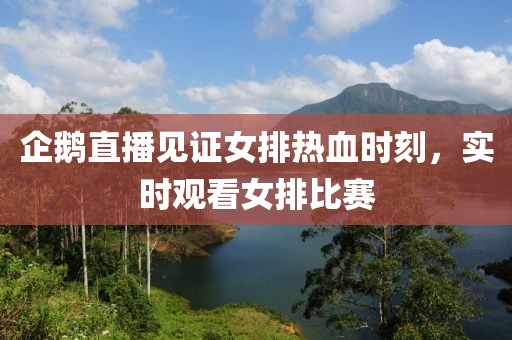 企鹅直播见证女排热血时刻，实时观看女排比赛