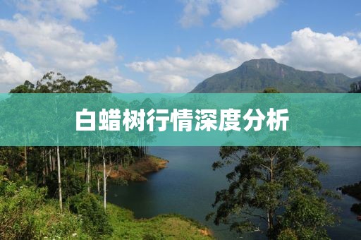 白蜡树行情深度分析