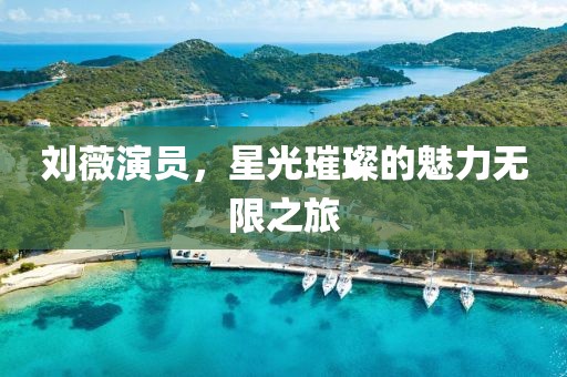 刘薇演员，星光璀璨的魅力无限之旅