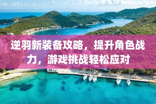 逆羽新装备攻略，提升角色战力，游戏挑战轻松应对