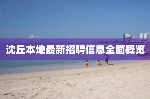 沈丘本地最新招聘信息全面概览