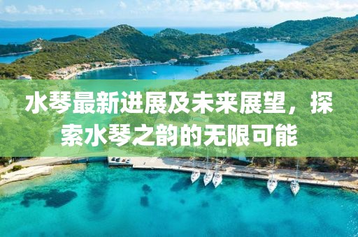 水琴最新进展及未来展望，探索水琴之韵的无限可能