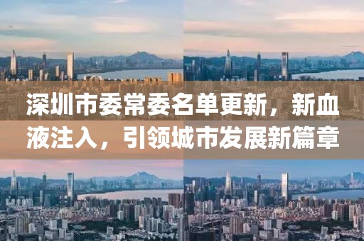 深圳市委常委名单更新，新血液注入，引领城市发展新篇章
