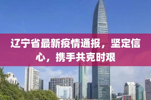辽宁省最新疫情通报，坚定信心，携手共克时艰