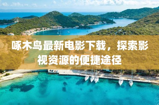啄木鸟最新电影下载，探索影视资源的便捷途径
