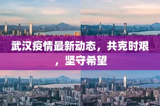 武汉疫情最新动态，共克时艰，坚守希望
