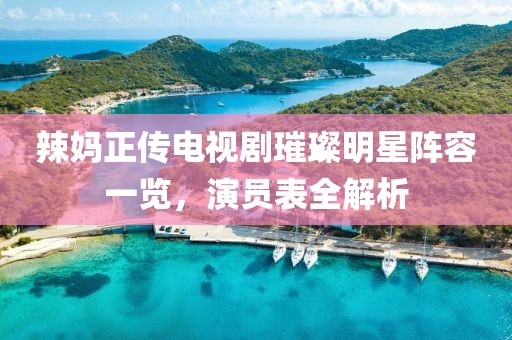 辣妈正传电视剧璀璨明星阵容一览，演员表全解析