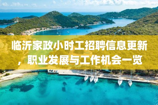 临沂家政小时工招聘信息更新，职业发展与工作机会一览