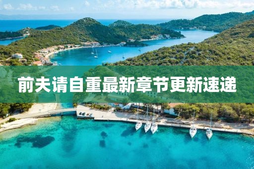 前夫请自重最新章节更新速递