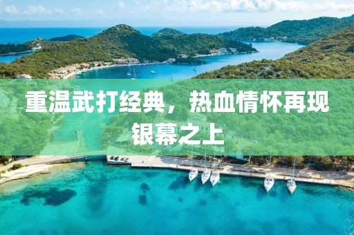 重温武打经典，热血情怀再现银幕之上