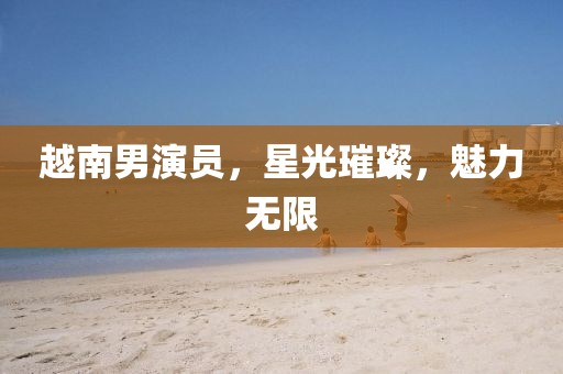 越南男演员，星光璀璨，魅力无限
