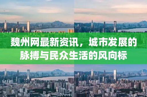 魏州网最新资讯，城市发展的脉搏与民众生活的风向标