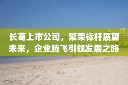 长葛上市公司，繁荣标杆展望未来，企业腾飞引领发展之路