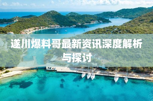 遂川爆料哥最新资讯深度解析与探讨