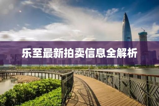 乐至最新拍卖信息全解析