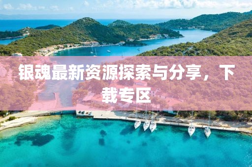 银魂最新资源探索与分享，下载专区
